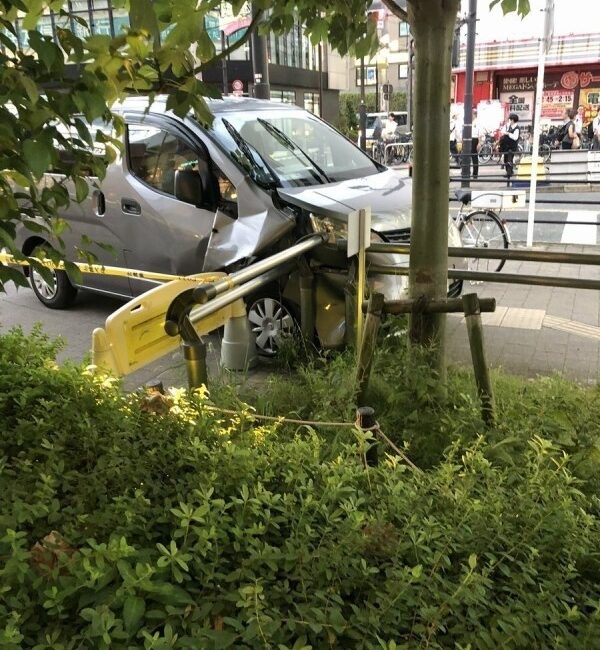 JAPONYA’DA KONTROLDEN ÇIKAN BİR