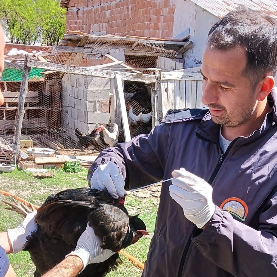 Afyonkarahisar, Türkiye’nin Yumurta Kalesi: Kuş Gribine Karşı Sıkı Mücadele!