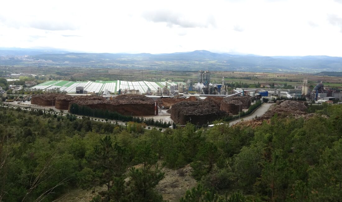 Kastamonu Entegre firmasını, belgede