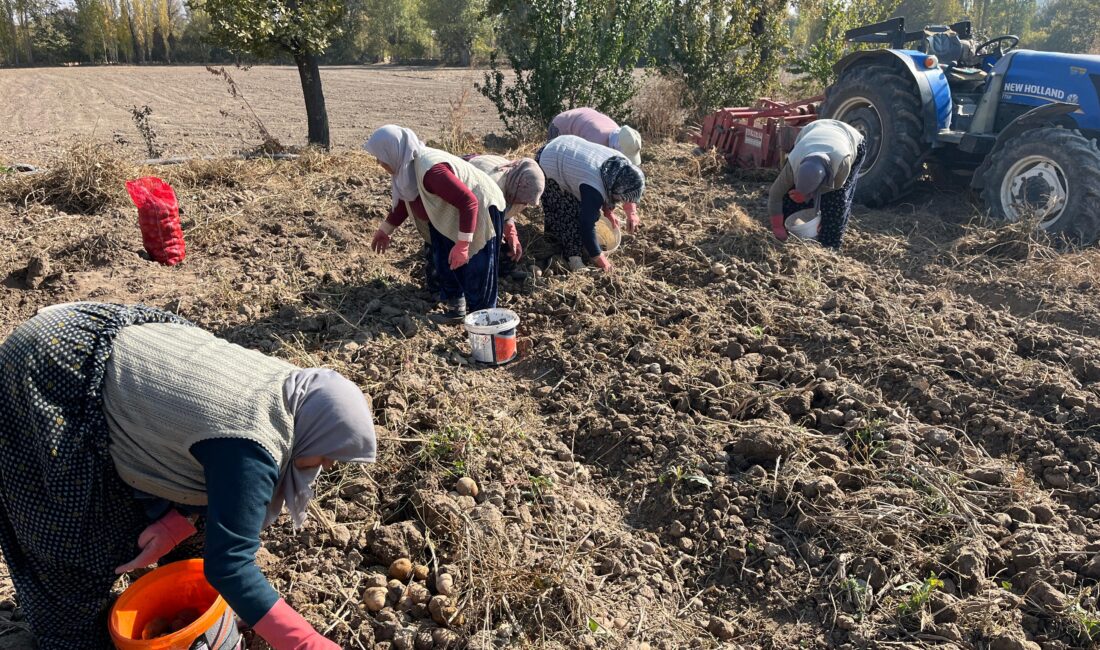 Afyonkarahisar’da ilk kez ekimi