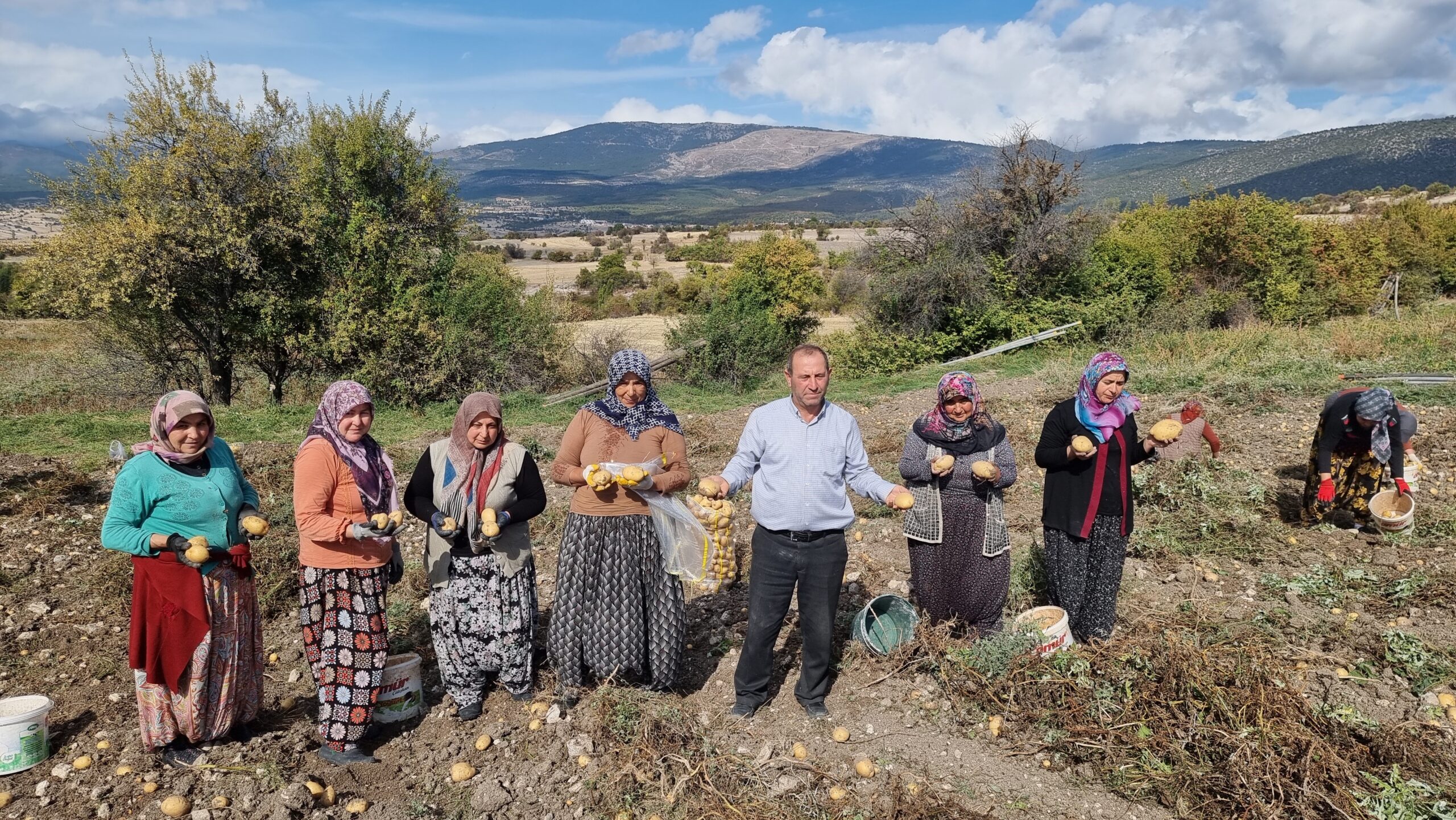 Arpa ve buğday yerine patates üretiyorlar