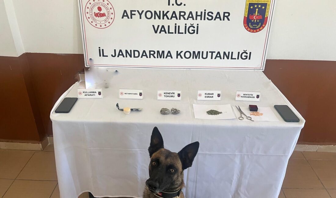 Afyonkarahisar'da jandarma ekipleri gerçekleştirdikleri