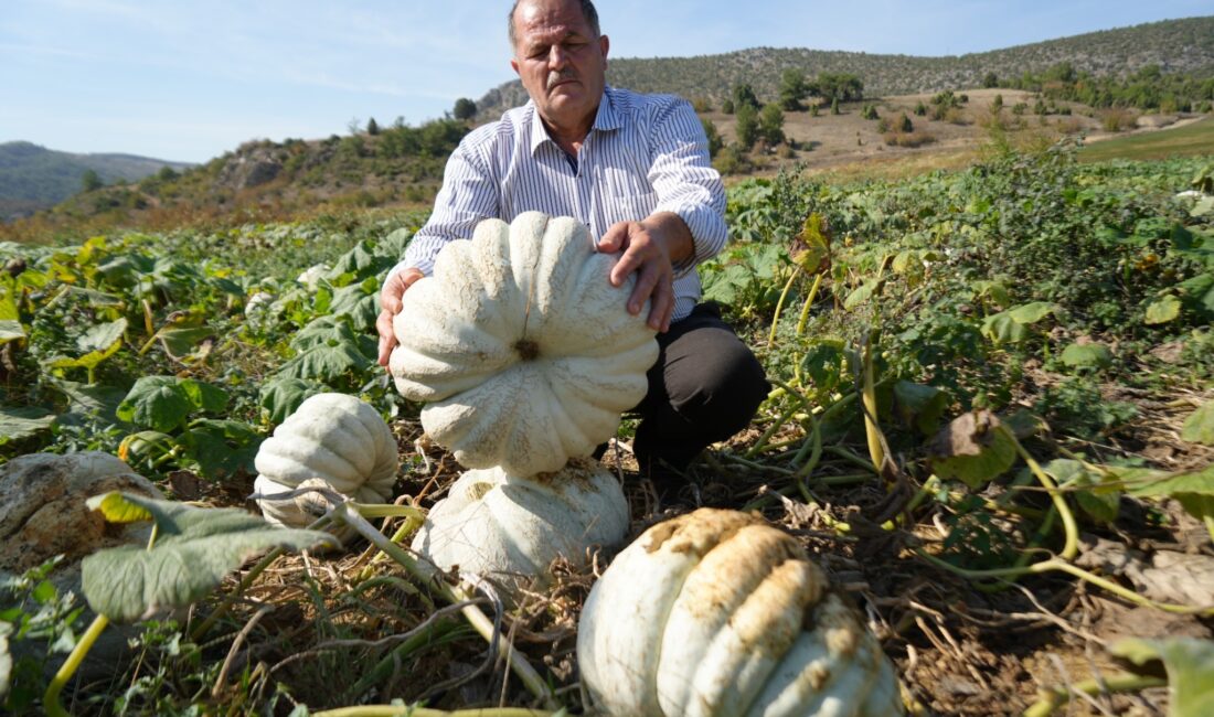 Bilecik’te 25 yıl önce