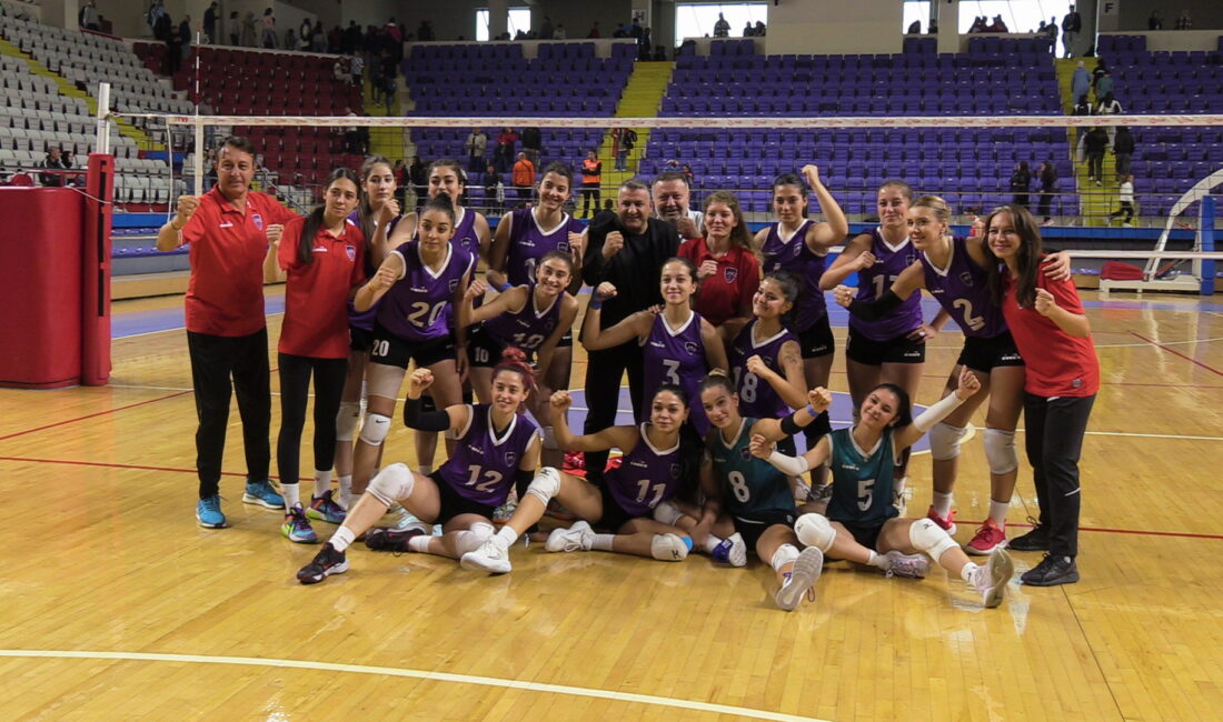 Türkiye Voleybol Federasyonu 2.