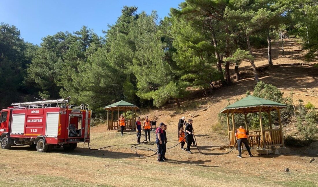 Afyonkarahisar’ın Dinar ilçesindeki ormanlık