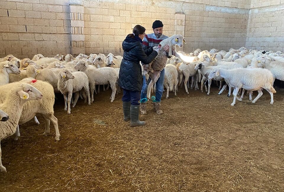 Afyonkarahisar’ın Başmakçı ilçesine bağlı