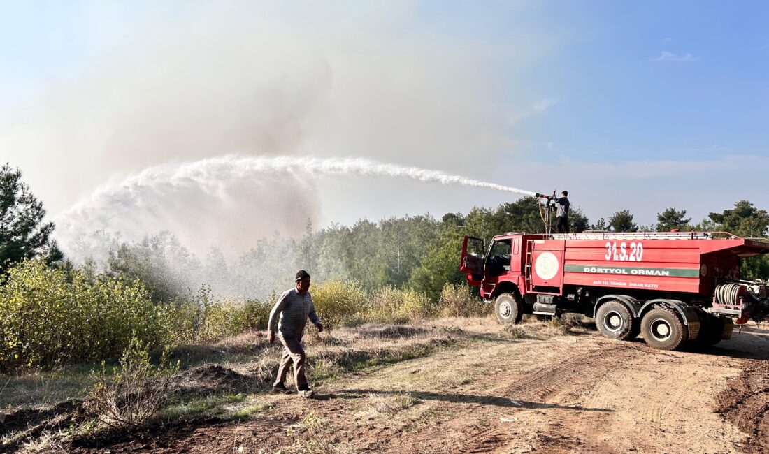 Hatay’da çıkan orman yangını,