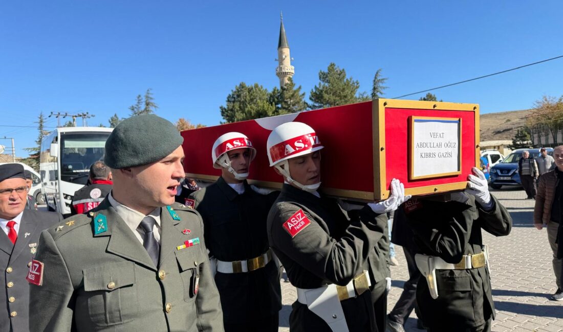 Afyonkarahisar'da yaşlılığa bağlı çeşitli