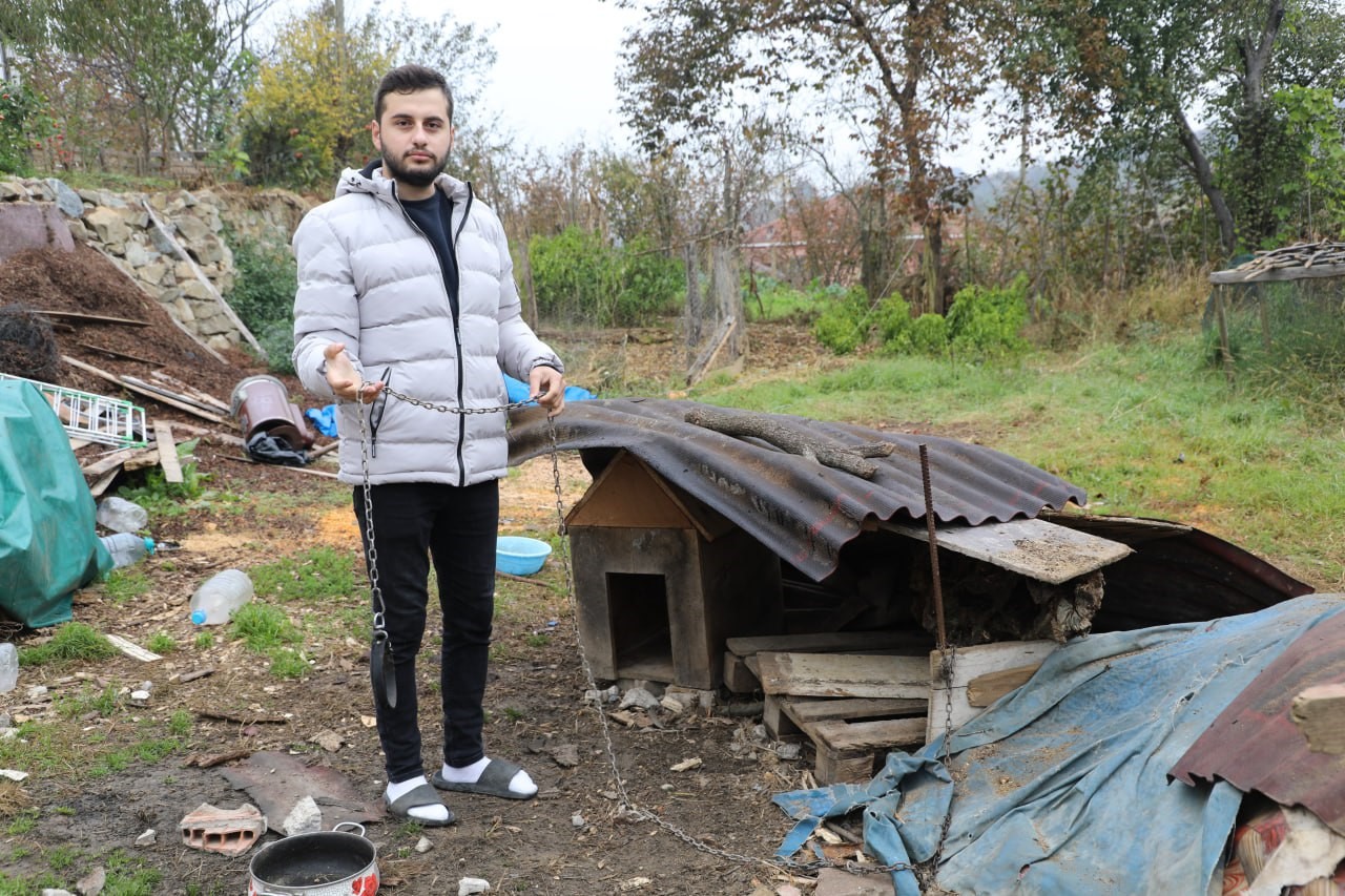 Çalındı zannedilen köpek, kurtlar tarafından parçalandı!