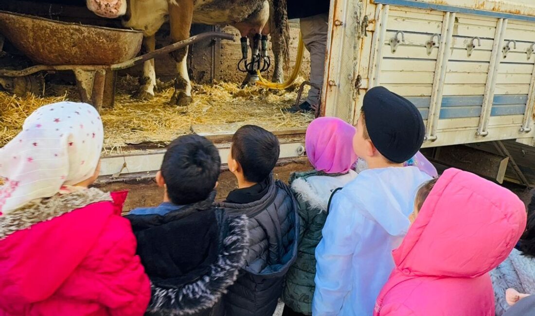 Afyonkarahisar Kocatepe İlkokulu’nda Yerli