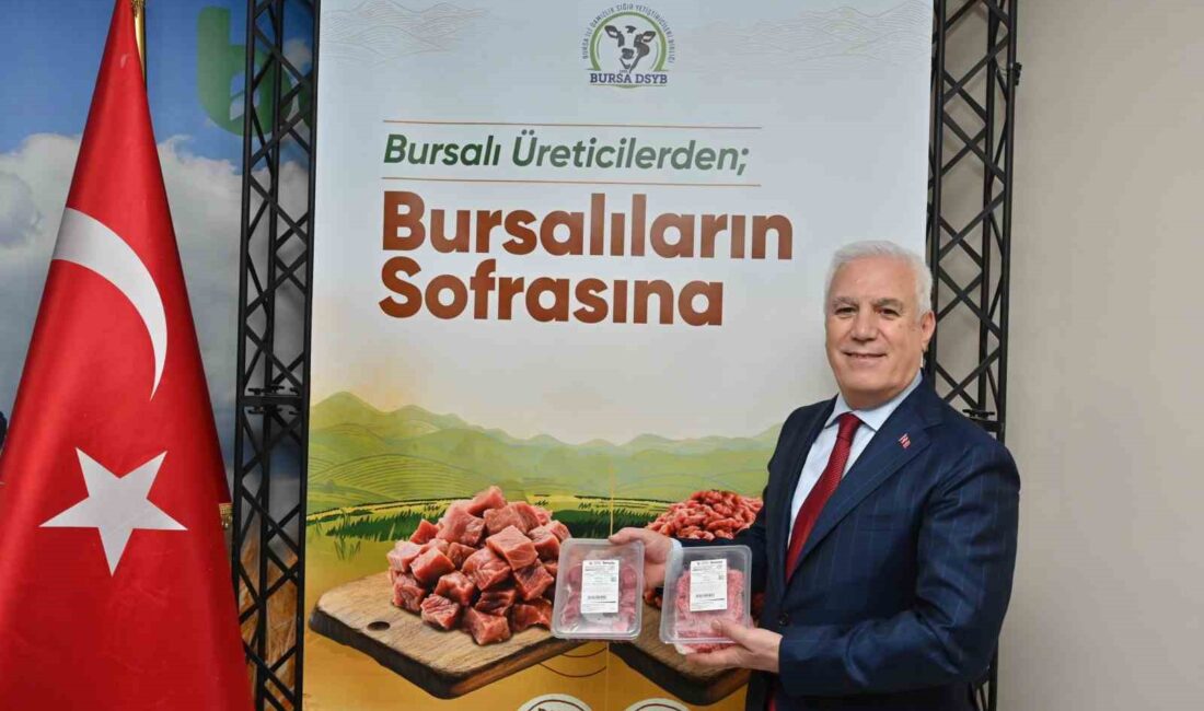 Bursa Büyükşehir Belediyesi iştiraklerinden