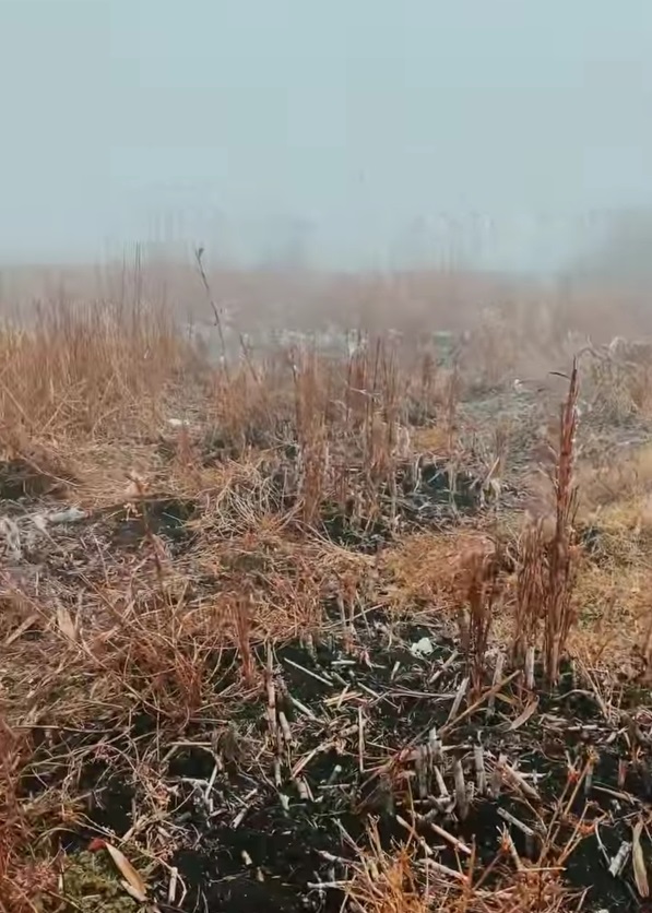 “Eber Gölü Yok Olmasın!”