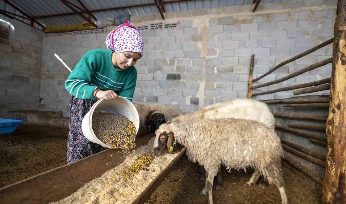 Mersin Büyükşehir Belediyesinin Türkiye’ye