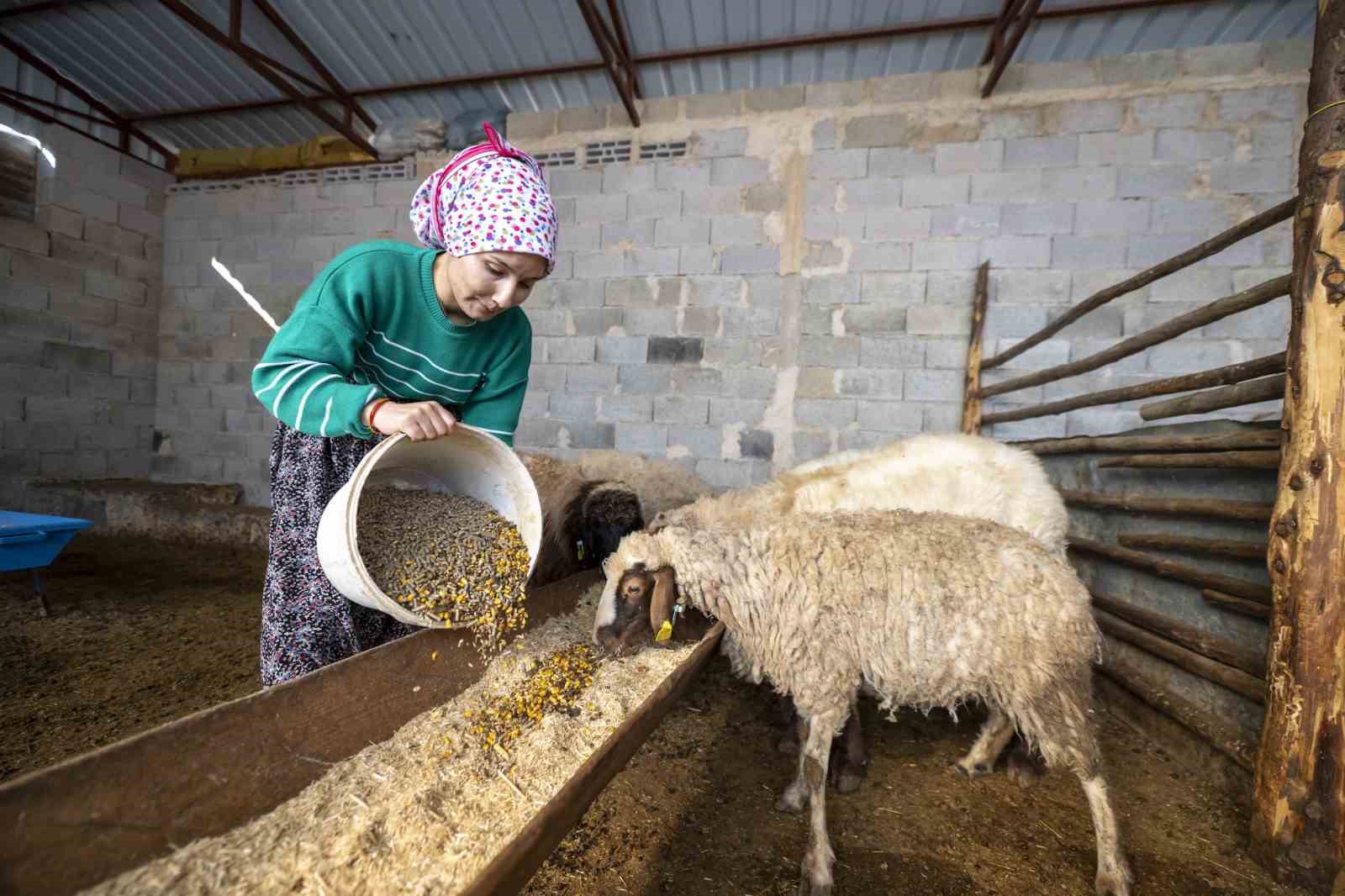 ’Hadi Gel Köyümüze Geri Dönelim’  projesi bir genci üretime kazandırdı