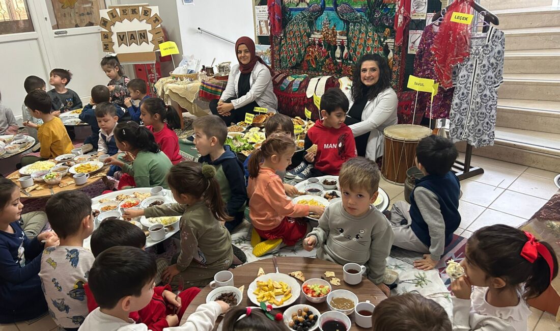 Kütahya'nın Tavşanlı ilçesi Haymeana