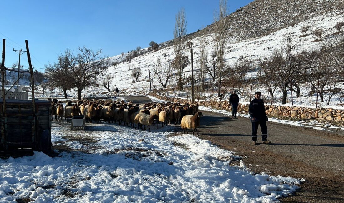 Malatya'nın kırsal kesimlerinde, soğuk