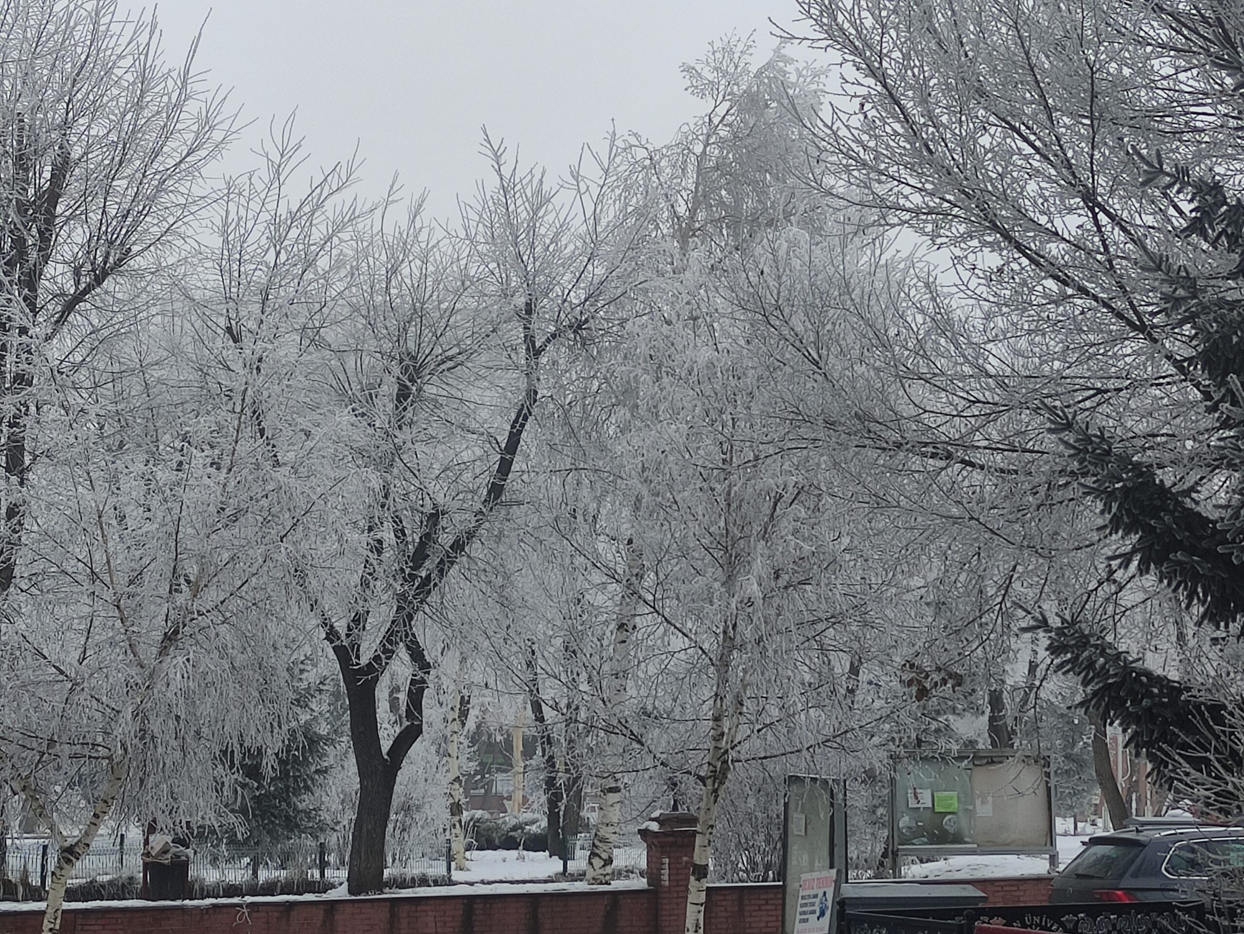 Ardahan buz kesti: Göle eksi 26 derece