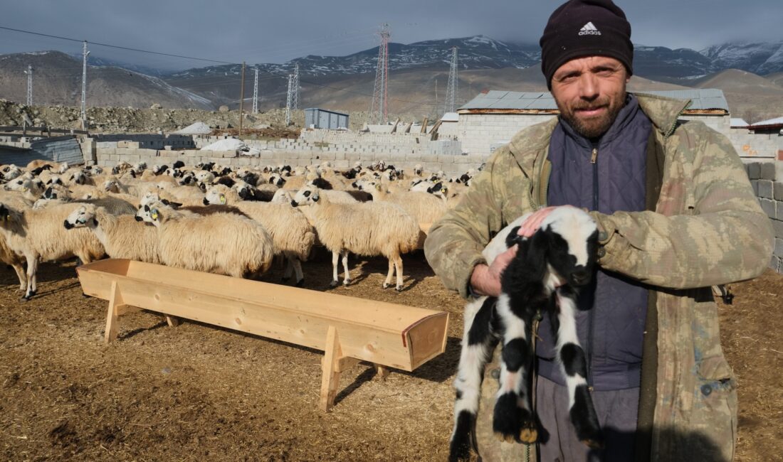 Erzincan’da, yıllardır hayvancılıkla uğraşan