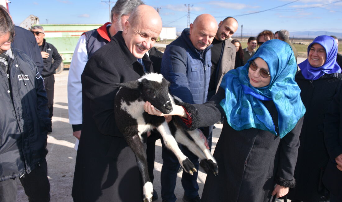 Yükseköğretim Kurulu (YÖK) Başkanı