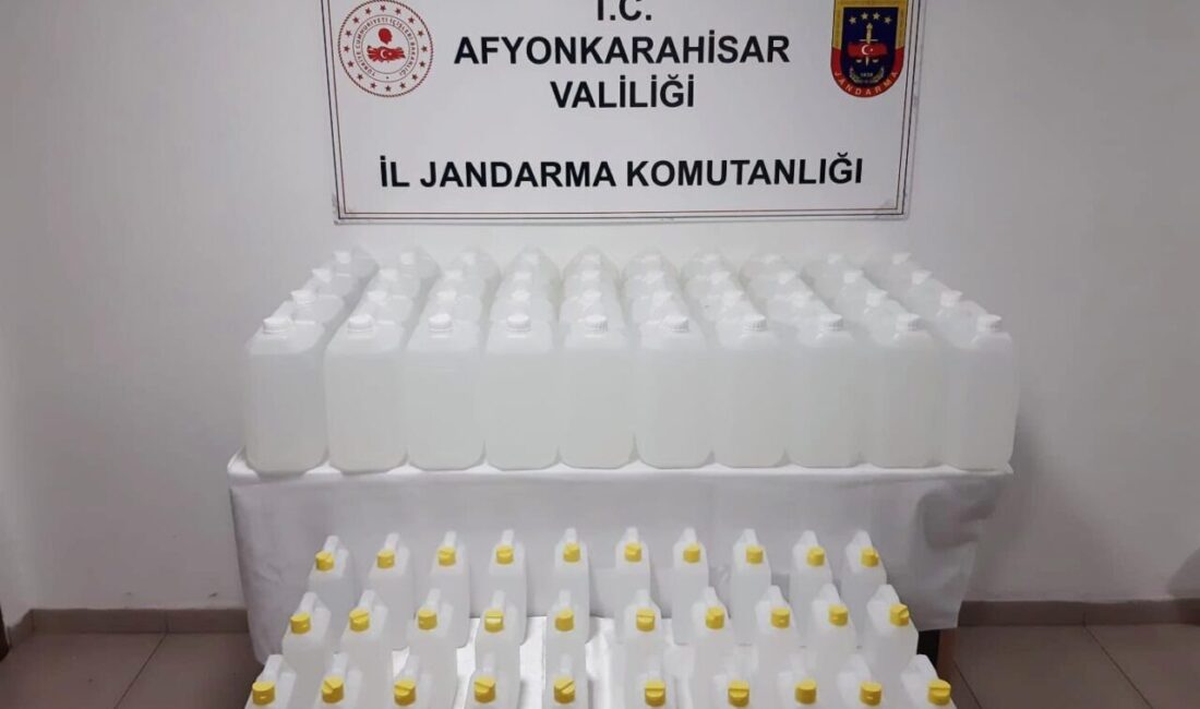 Afyonkarahisar’da jandarma yaklaşan yılbaşı