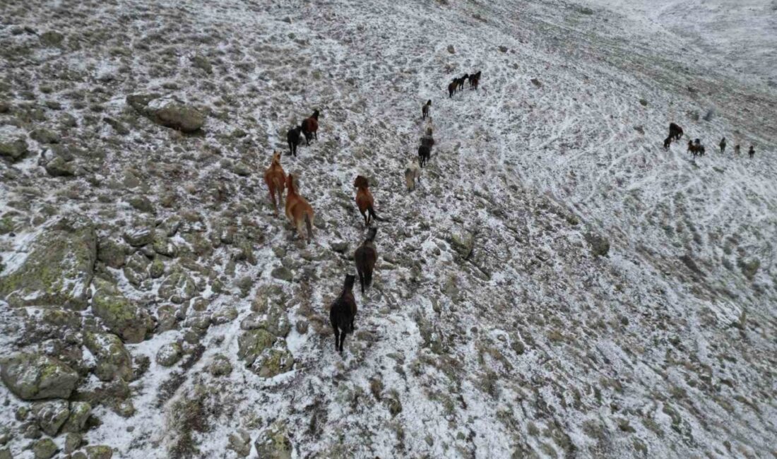 Afyonkarahisar’da ki yaylalarda kar