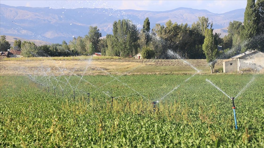 Tarım sektöründe bu yıl