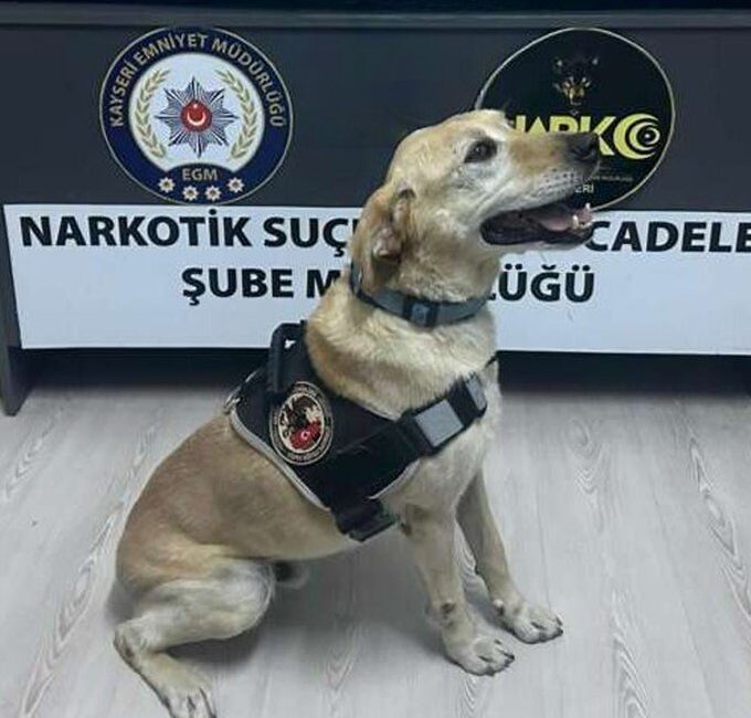 Kayseri’de polis ekipleri tarafından