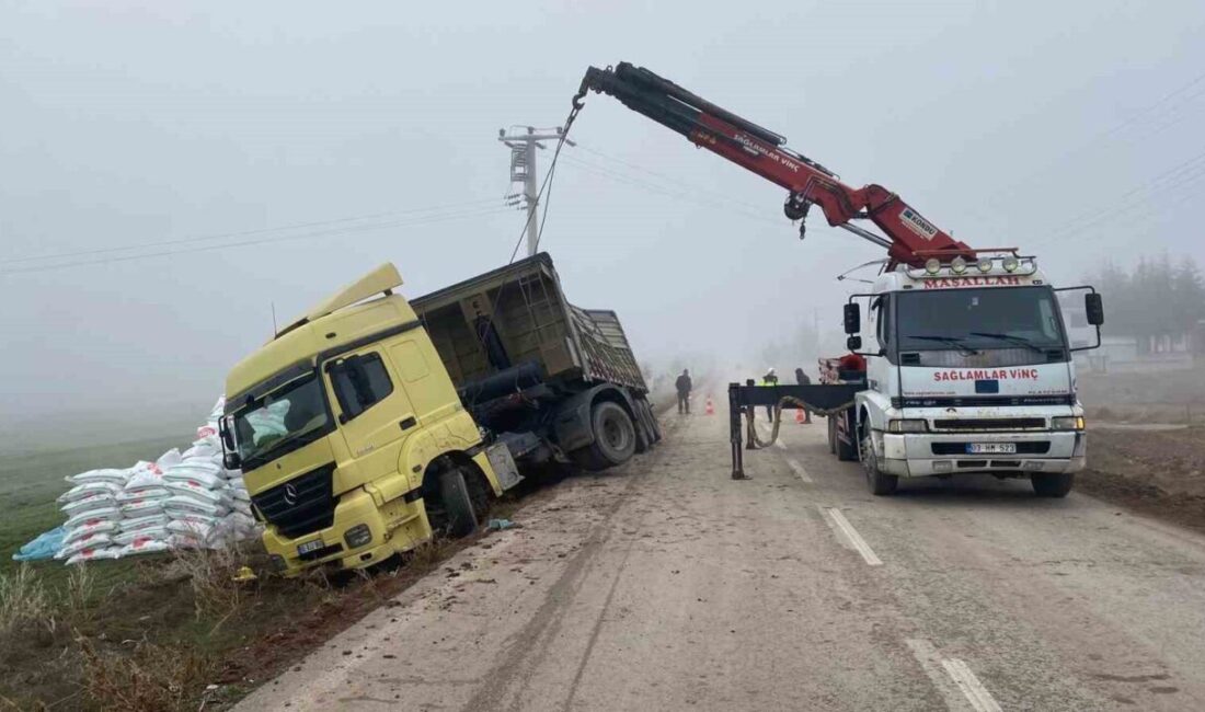 Afyonkarahisar’da gübre yüklü tırın