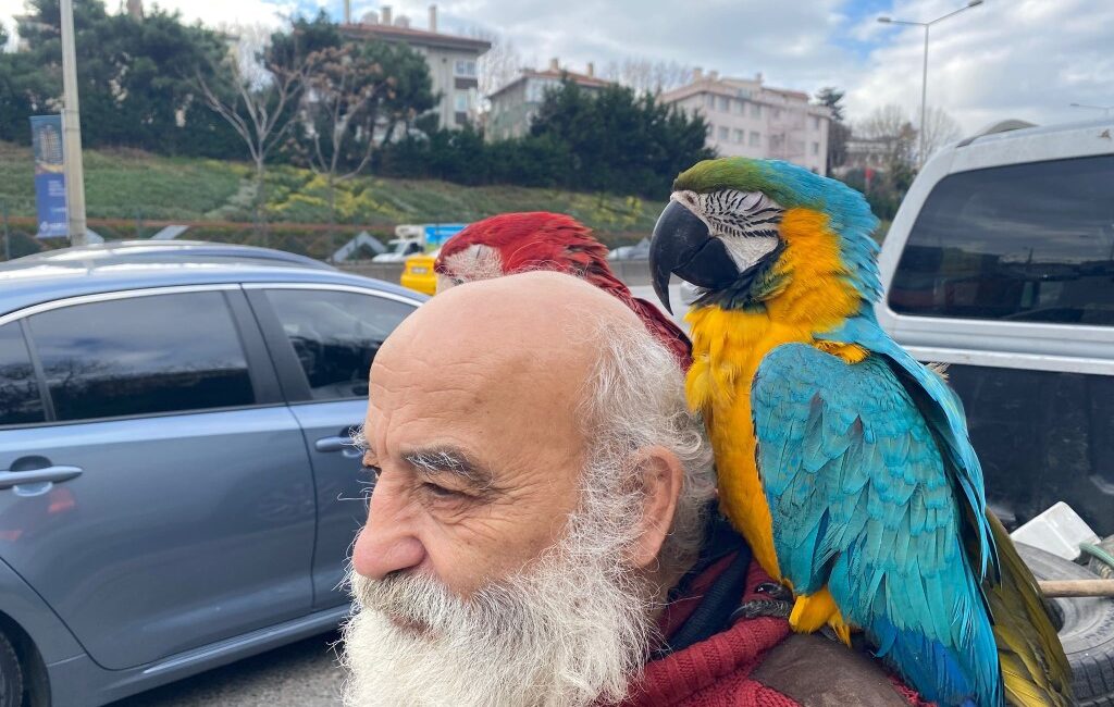 İstanbul’un Beykoz ilçesinde omzunda