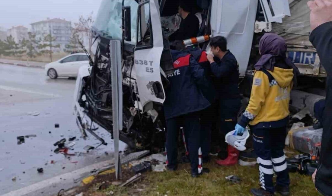 Afyonkarahisar’da kontrolden çıkan tır