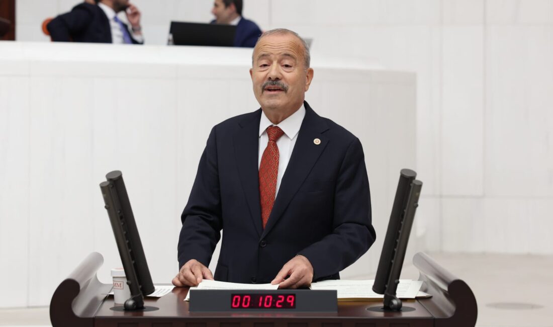 Milliyetçi Hareket Partisi Afyonkarahisar Milletvekili Mehmet Taytak, TBMM Genel Kurulu’nda