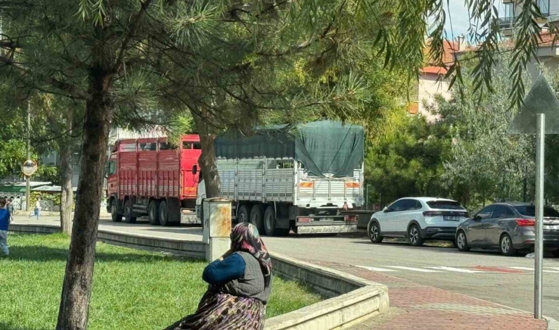 Afyonkarahisar’da mahalle aralarına giren tır ve kamyonlar alt ve üst