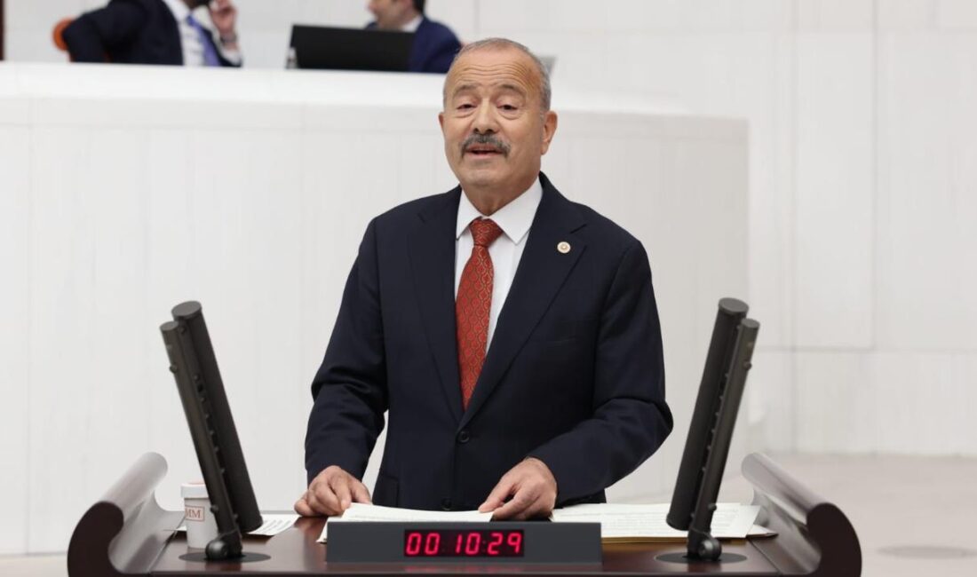 Milliyetçi Hareket Partisi (MHP) Afyonkarahisar Milletvekili Mehmet Taytak, Türkiye Büyük