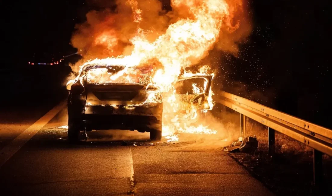 Japon otomotiv devi Nissan, ABD’de 19 binden fazla elektrikli aracını