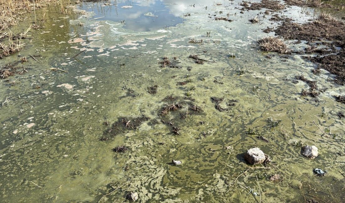 Türkiye’nin en büyük göllerinden birisi olan su seviyesi önceki yıllara