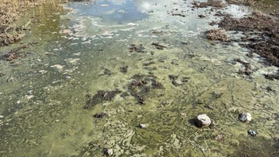 Türkiye’nin en büyük göllerinden birisi olan su seviyesi önceki yıllara