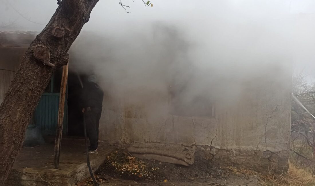 Edinilen bilgilere göre, henüz belirlenemeyen bir nedenle Armutlu mevkiinde bulunan