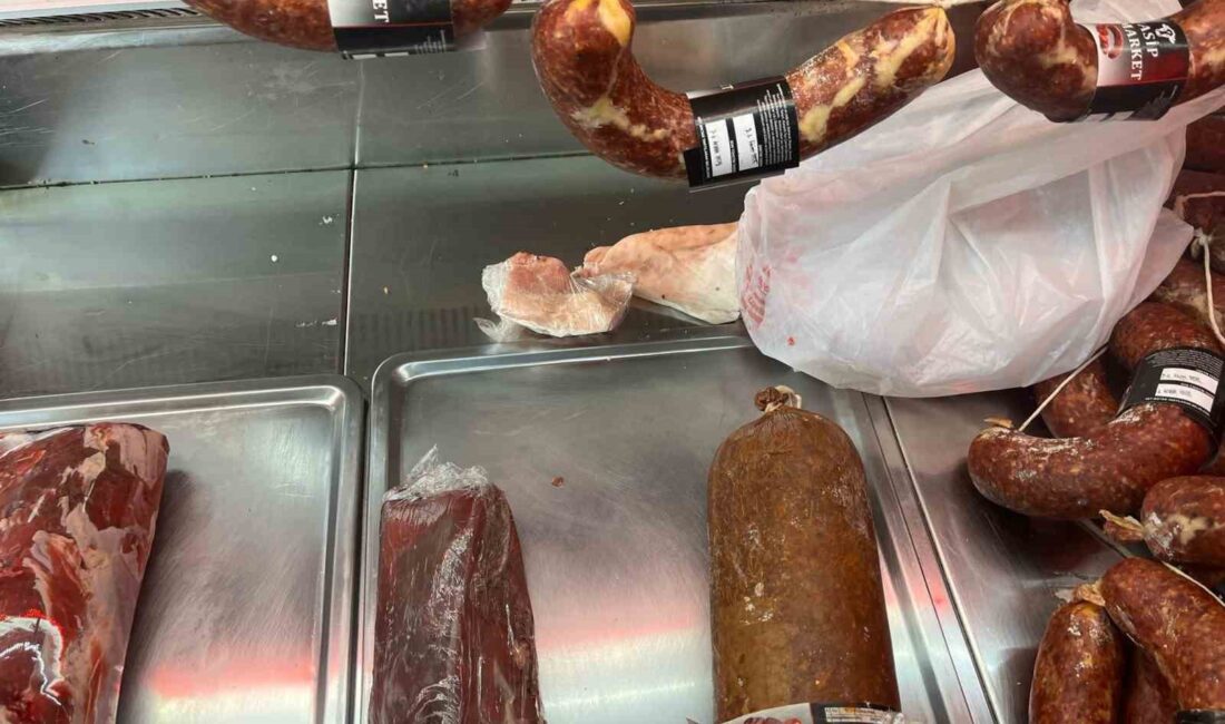 Bilecik merkez Bahçelievler Mahallesi’nde yapılan denetimlerde, kasapların mutfak ve üretim