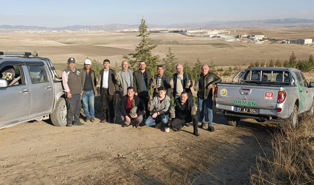 Etkinlik kapsamında 250 adet çam ve sedir fidanı, orman sahasında