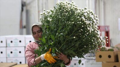 Florasında 3 bin 500’den fazla endemik bitki türünü barındıran Türkiye,