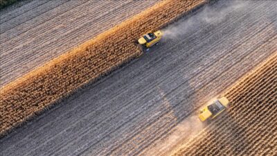 Türkiye İstatistik Kurumu (TÜİK), eylül ayına ilişkin Tarım-GFE verilerini açıkladı.