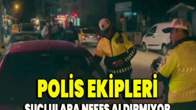 Amet dolor ea incididunt consectetur lorem cursus labore deserunt nec