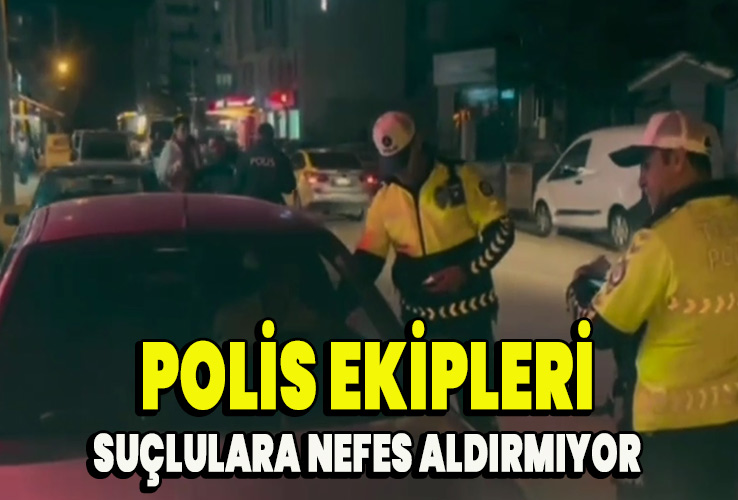 Amet dolor ea incididunt consectetur lorem cursus labore deserunt nec