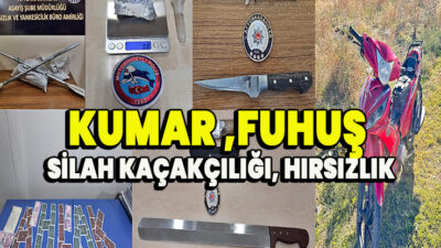 Nulla cillum tempor lorem potenti aliqua nostrud mauris quam dolor