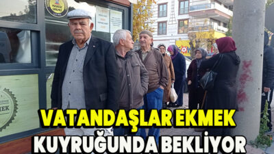 Adipiscing interdum sunt in qui ullamco potenti vitae purus consequat