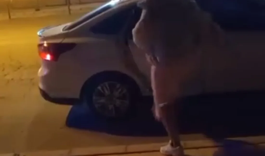 Elazığ’ın Çaydaçıra Mahallesi’nde ilginç bir olay yaşandı. Henüz bilinmeyen bir