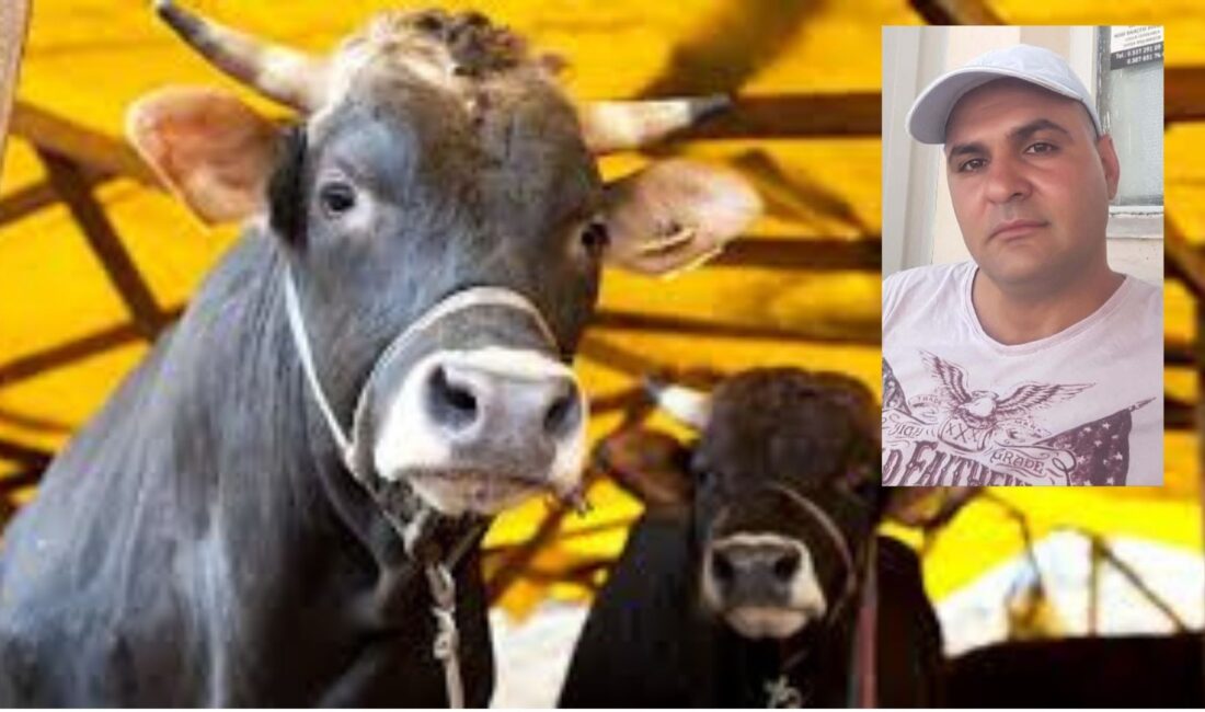 Besicilik ve taksicilik yapan 41 yaşındaki Suat Aydın, hayvanlarından birini