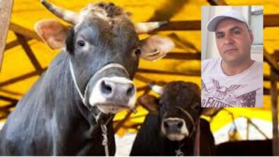 Besicilik ve taksicilik yapan 41 yaşındaki Suat Aydın, hayvanlarından birini