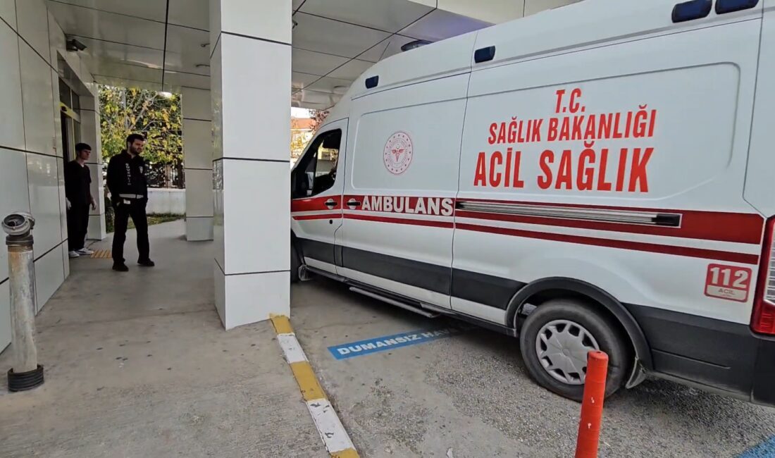 Olay, dün akşam saatlerinde Sakarya’nın Sapanca ilçesine bağlı Akçay Mahallesi’nde