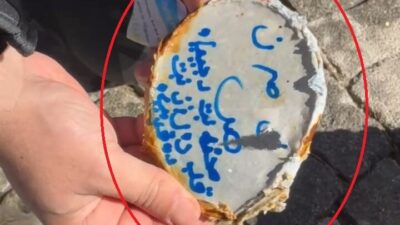 Diyarbakır Büyükşehir Belediyesi İtfaiye Daire Başkanlığı Su Altı Arama-Kurtarma Ekibi,